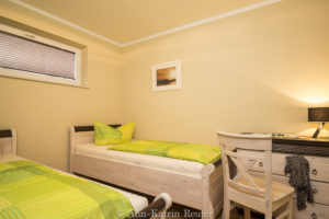 Fischmöwe innen, Lietzow, Siggelkow-1