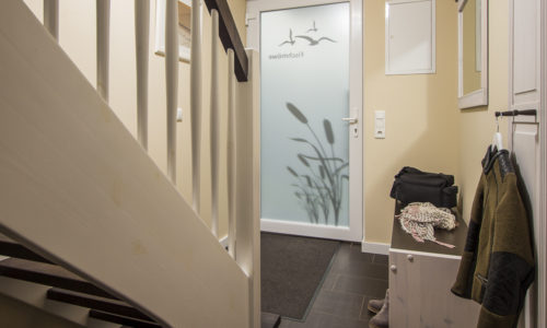 Fischmöwe innen, Lietzow, Siggelkow-4