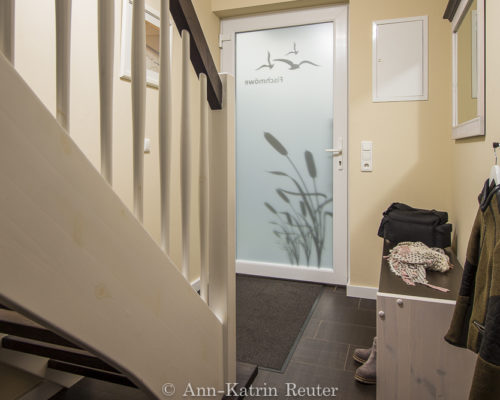 Fischmöwe innen, Lietzow, Siggelkow-4 Fischmöwe innen, Lietzow, Siggelkow-4