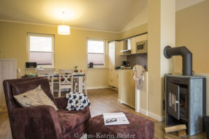 Fischmöwe innen, Lietzow, Siggelkow-7