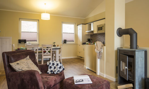 Fischmöwe innen, Lietzow, Siggelkow-7