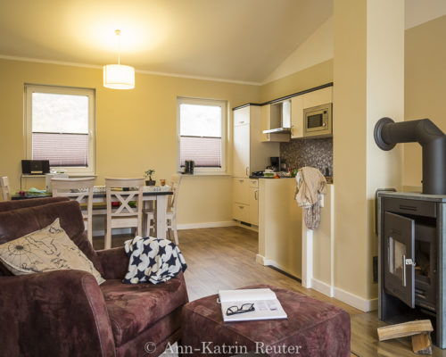 Fischmöwe innen, Lietzow, Siggelkow-7 Fischmöwe innen, Lietzow, Siggelkow-7