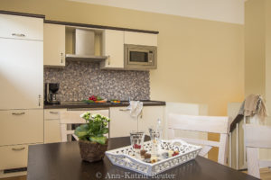 Fischmöwe innen, Lietzow, Siggelkow-8