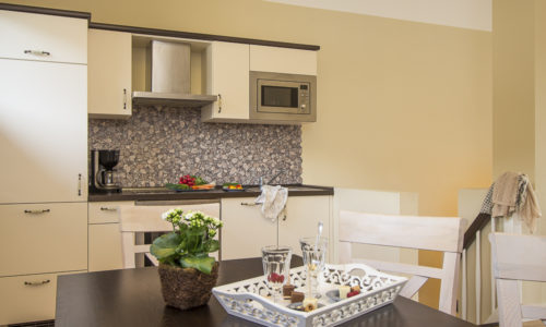 Fischmöwe innen, Lietzow, Siggelkow-8