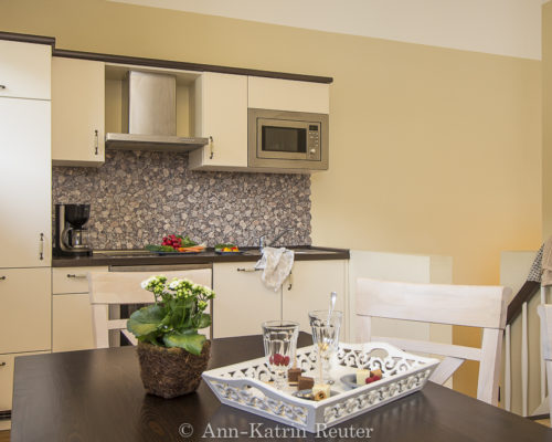 Fischmöwe innen, Lietzow, Siggelkow-8 Fischmöwe innen, Lietzow, Siggelkow-8