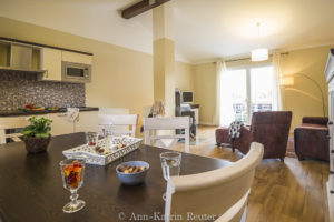 Fischmöwe innen, Lietzow, Siggelkow-9