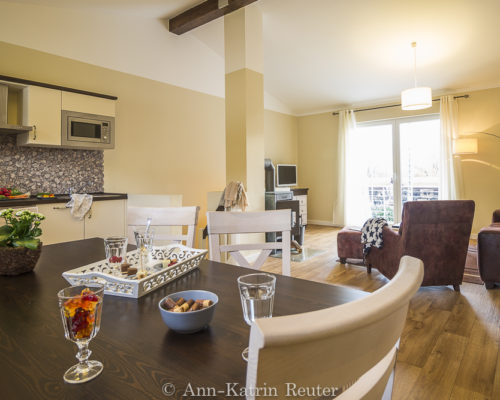 Fischmöwe innen, Lietzow, Siggelkow-9 Fischmöwe innen, Lietzow, Siggelkow-9