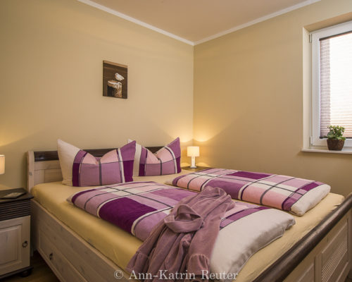 Lachmöwe innen-1 Lachmöwe innen-1