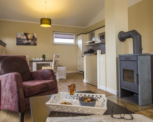 Lachmöwe innen-10 Lachmöwe innen-10