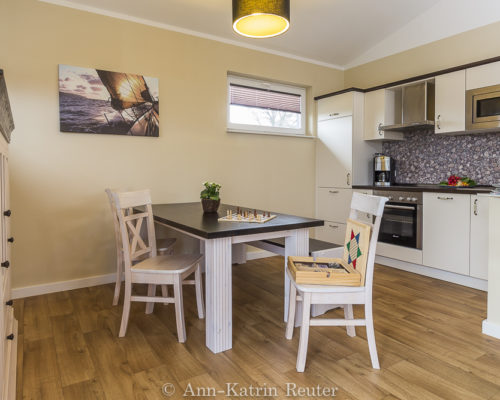 Lachmöwe innen-11 Lachmöwe innen-11