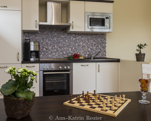 Lachmöwe innen-12 Lachmöwe innen-12