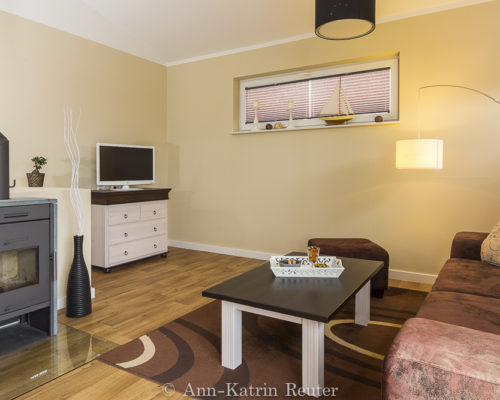 Lachmöwe innen-13 Lachmöwe innen-13