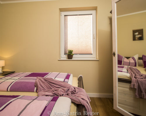 Lachmöwe innen-2 Lachmöwe innen-2