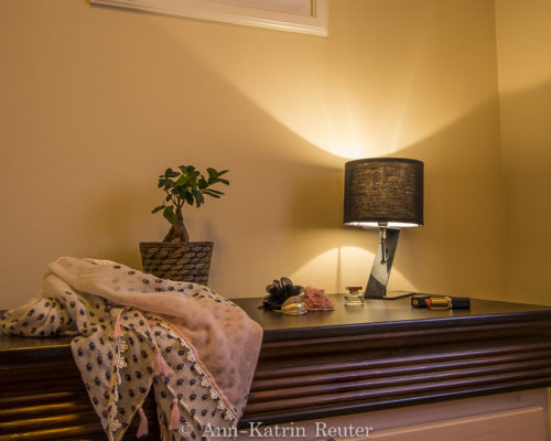 Lachmöwe innen-3 Lachmöwe innen-3