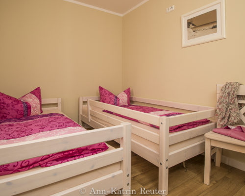 Lachmöwe innen-5 Lachmöwe innen-5