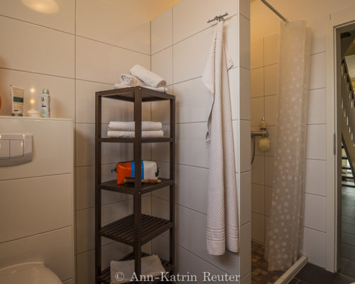 Lachmöwe innen-6 Lachmöwe innen-6