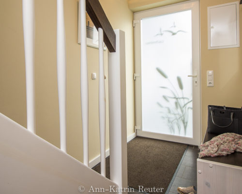 Lachmöwe innen-8 Lachmöwe innen-8