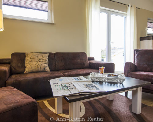 Lachmöwe innen-9 Lachmöwe innen-9