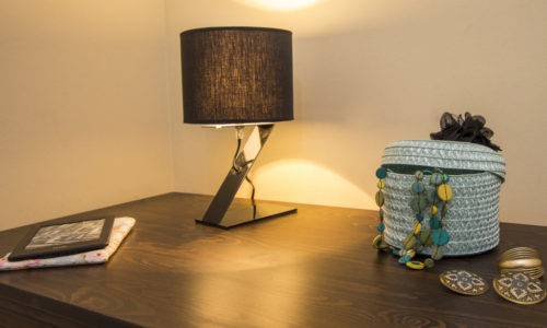 Sturmmöwe innen, Lietzow, Siggelkow-2