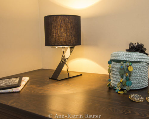 Sturmmöwe innen, Lietzow, Siggelkow-2 Sturmmöwe innen, Lietzow, Siggelkow-2