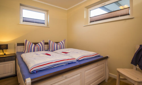 Sturmmöwe innen, Lietzow, Siggelkow-3