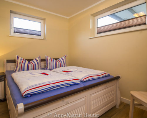 Sturmmöwe innen, Lietzow, Siggelkow-3 Sturmmöwe innen, Lietzow, Siggelkow-3