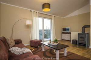 Sturmmöwe innen, Lietzow, Siggelkow-4