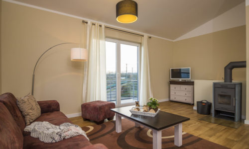 Sturmmöwe innen, Lietzow, Siggelkow-4