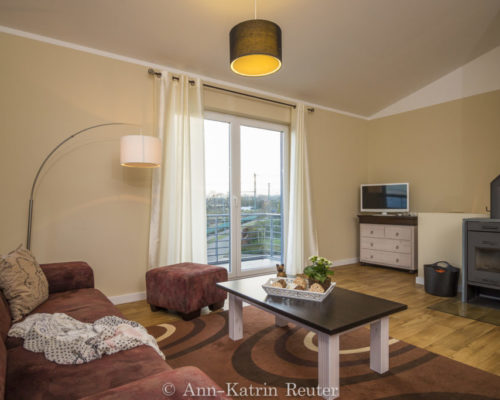 Sturmmöwe innen, Lietzow, Siggelkow-4 Sturmmöwe innen, Lietzow, Siggelkow-4