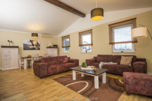 Sturmmöwe innen, Lietzow, Siggelkow-5