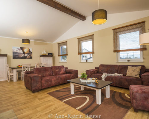 Sturmmöwe innen, Lietzow, Siggelkow-5 Sturmmöwe innen, Lietzow, Siggelkow-5