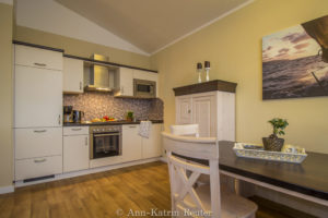 Sturmmöwe innen, Lietzow, Siggelkow-6