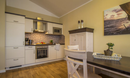 Sturmmöwe innen, Lietzow, Siggelkow-6