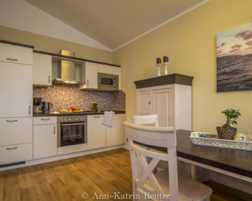 Sturmmöwe innen, Lietzow, Siggelkow-6 Sturmmöwe innen, Lietzow, Siggelkow-6