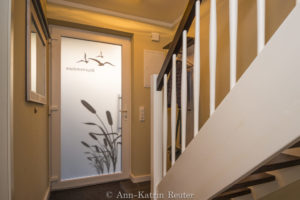 Sturmmöwe innen, Lietzow, Siggelkow-7