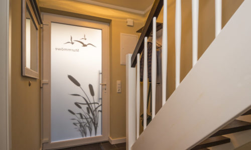 Sturmmöwe innen, Lietzow, Siggelkow-7