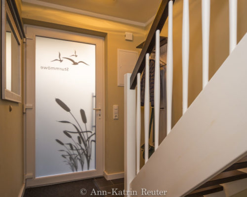 Sturmmöwe innen, Lietzow, Siggelkow-7 Sturmmöwe innen, Lietzow, Siggelkow-7