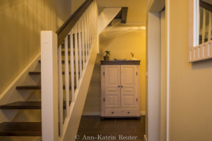 Sturmmöwe innen, Lietzow, Siggelkow-8