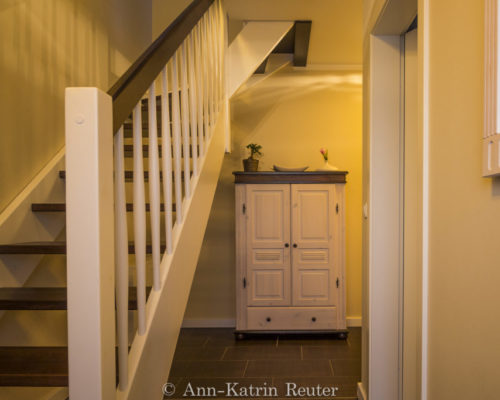 Sturmmöwe innen, Lietzow, Siggelkow-8 Sturmmöwe innen, Lietzow, Siggelkow-8